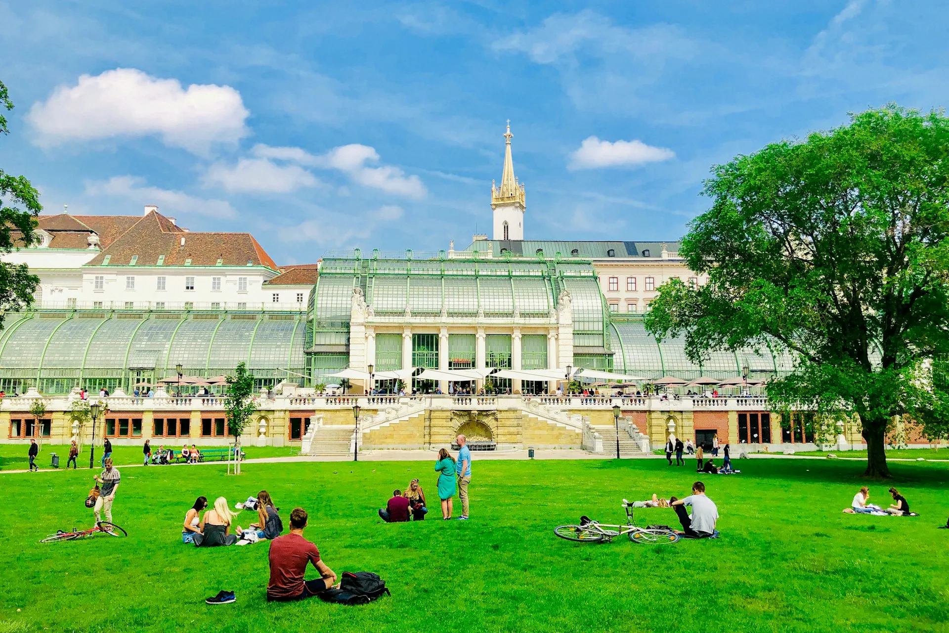 Viena